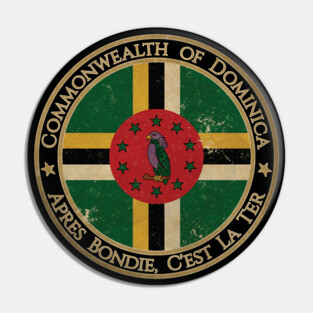 Vintage Commonwealth of Dominica USA North America United States Flag Pin