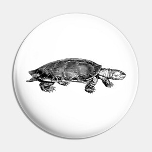 Tortoise Pin
