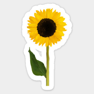 Sunflower Sticker