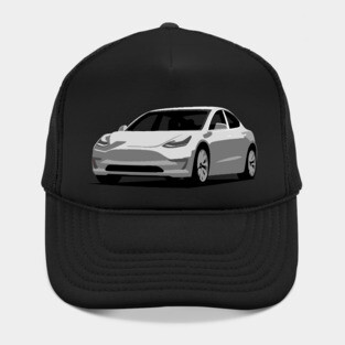 Model 3 Hat