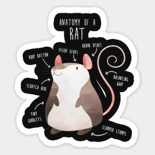 Anatomy of a Rat Sticker