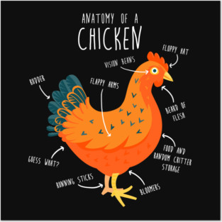 Anatomy of a Chicken Posters and Art