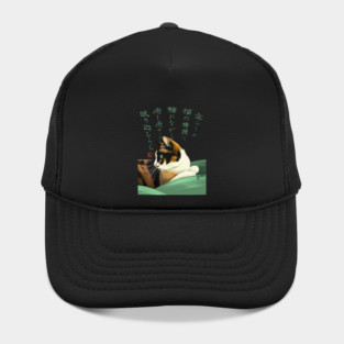 My lovely cat Hat