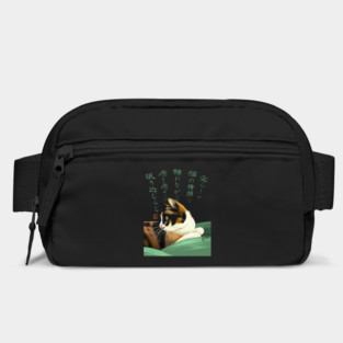 My lovely cat Bag