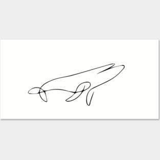 Whale Posters and Art