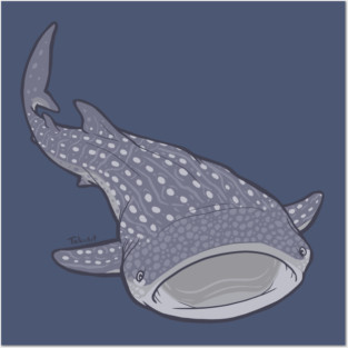 Whale Shark Posters and Art