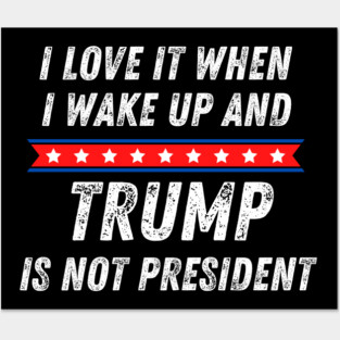 Trump is Not My President Posters and Art