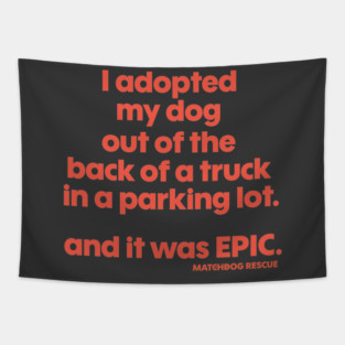 An Epic Adoption! Tapestry