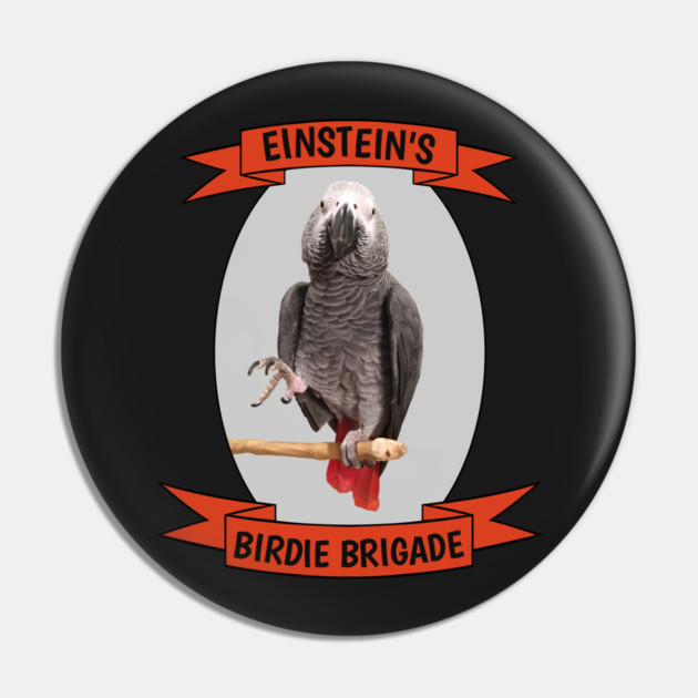 Birdie Brigade African Grey Parrot Pin by Einstein Parrot