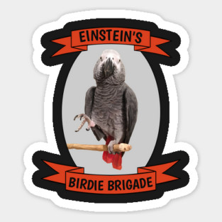 Birdie Brigade African Grey Parrot Sticker