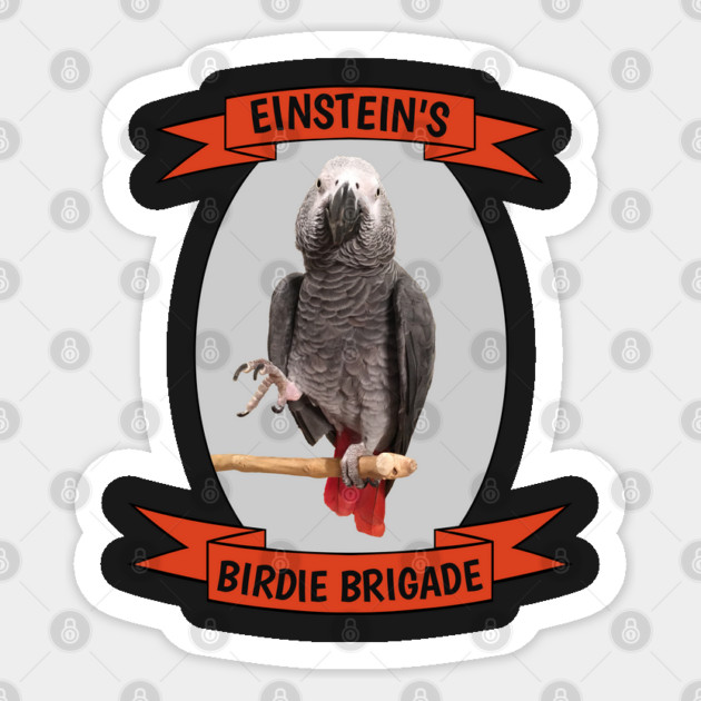 Birdie Brigade African Grey Parrot Sticker by Einstein Parrot