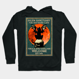 Salem sanctuary Hoodie