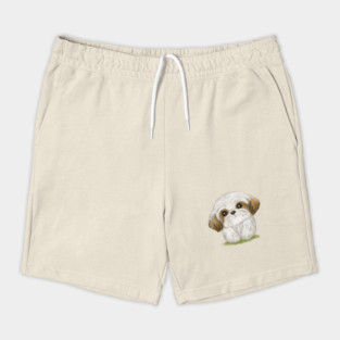 Cute Shih Tzu Shorts
