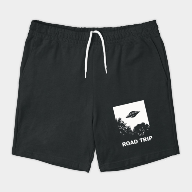 UFO Road Trip by dumbshirts
