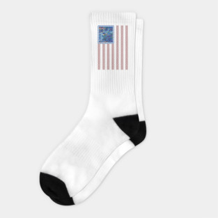 Hmong Story Flag Socks