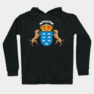 Coat of arms of Canary Islands Hoodie