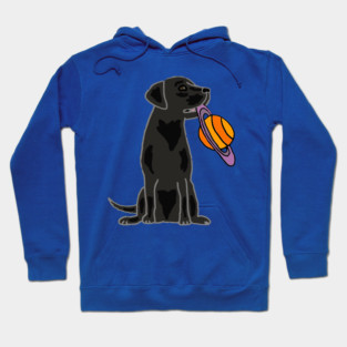 Cute Black Lab Dog with Saturn Frisbee Hoodie