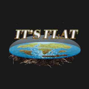 It's Flat T-Shirt
