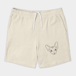 Sphynx cat Shorts