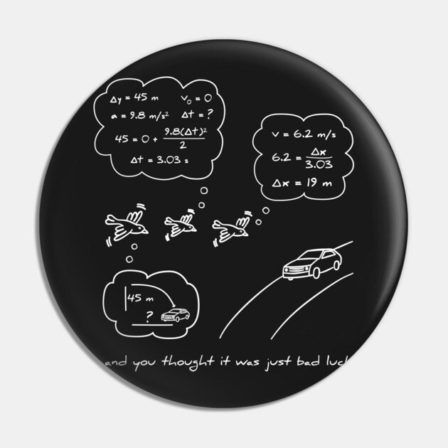 Bird vs. Car: The Real Story Pin by donovanh