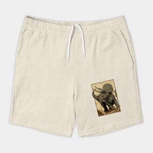 Triceratops horridus Shorts