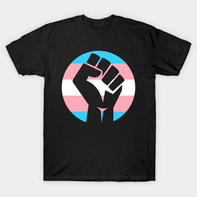Transgender Pride Fist T-Shirt by deanbeckton