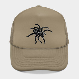 Vintage Tarantula Illustration Hat