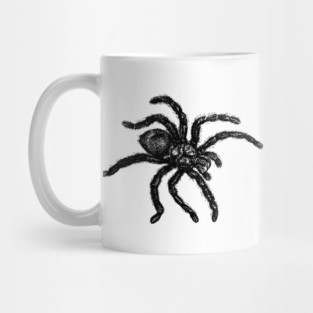 Vintage Tarantula Illustration Mug