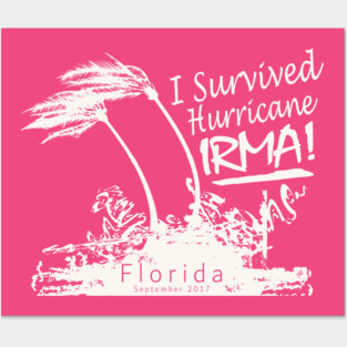 Hurricane Irma Survivor Posters and Art