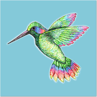 Hummingbird Posters and Art