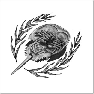 Horseshoe Crab Posters and Art
