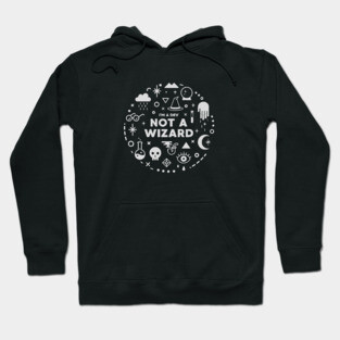 I'm a Developer, not a Wizard - Programming Hoodie