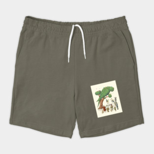 The Parrot Tree Shorts