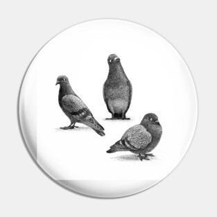 Three Pigeons Pin