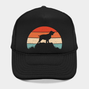 English springer spaniel Hat