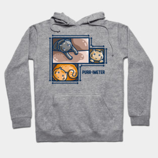 Purr-imeter Maths Cat Pun Hoodie