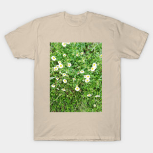sweet little daisies T-Shirt
