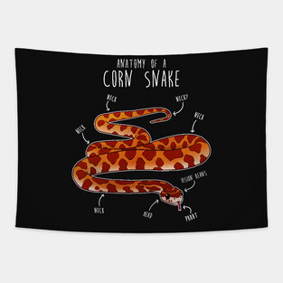 Anatomy of a Corn Snake Tapestry