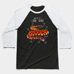 Anatomy of a Corn Snake Baseball T-Shirt