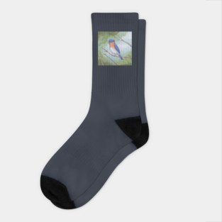 Bluebird on Branch Socks