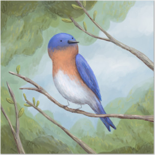 Bluebird on Branch Posters and Art