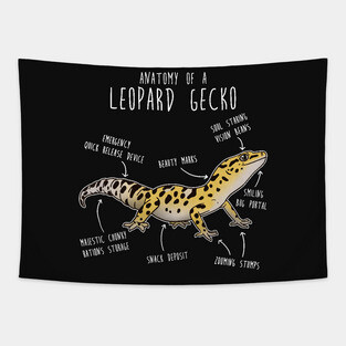 Anatomy of a Leopard Gecko Tapestry