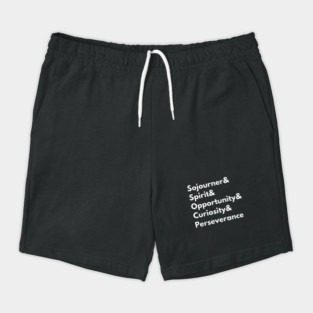 Sojourner & Spirit & Opportunity & Curiosity & Perseverance Shorts