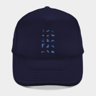 Animal Yogis_Blue Hat