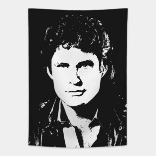 The Hoff Tapestry