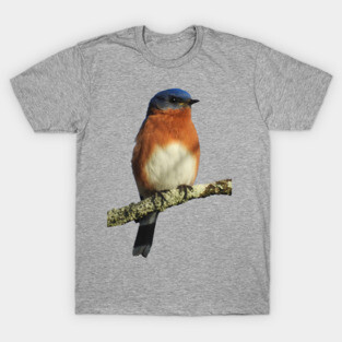 Eastern Bluebird T-Shirt
