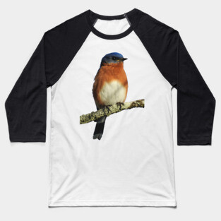 Eastern Bluebird Baseball T-Shirt
