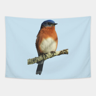 Eastern Bluebird Tapestry