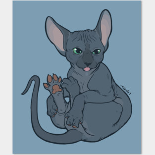 Sphynx Toes Posters and Art