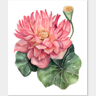 Lotus Posters and Art